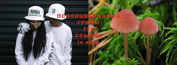 ешки Волосово