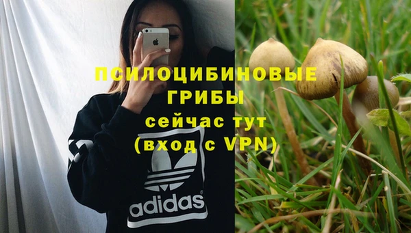 ешки Волосово