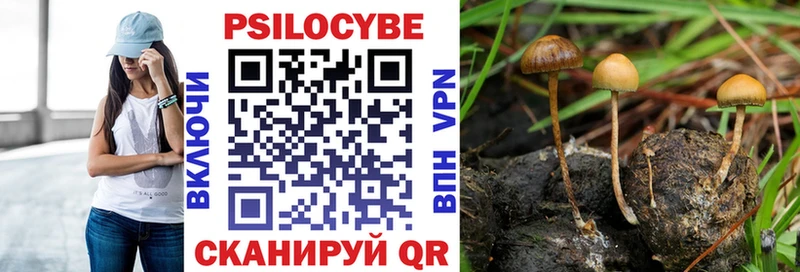 Купить закладки  Лабытнанги  Псилоцибиновые грибы мухоморы 